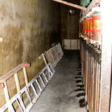 PM09 1000,8842