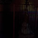 PM09 1000,8818