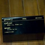 VZ09 1000,8668