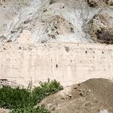 PM09 1000,12431