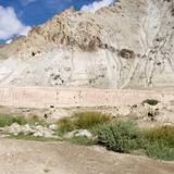 PM09 1000,12355
