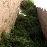PM09 1000,12413