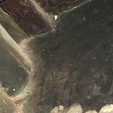 PM09 1000,14275