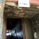 PM09 1000,15577