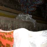 PM09 1000,15547