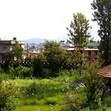 PM09 1002,3861
