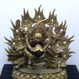 PM09 1002,3596