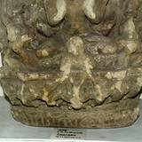 PM09 1000,18677