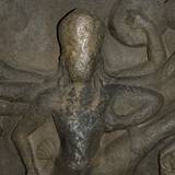 PM09 1000,18492