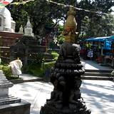PM09 1000,18698