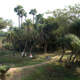 UN09 1000,6102