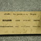 VZ09 1000,17991