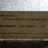 VZ09 1000,17722