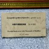 PM09 1000,18037