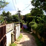 PM09 1002,3325