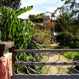PM09 1002,3344