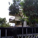 PM09 1002,3394