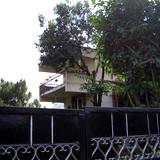 PM09 1002,3393