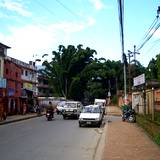 PM09 1002,2894