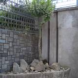 PM09 1002,3391