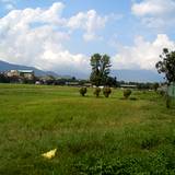 PM09 1002,2784