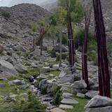 PM04 456176,37