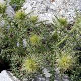 PM04 456176,35