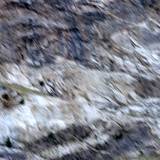 PM04 456164,17