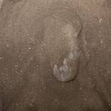 KS98 15,17b