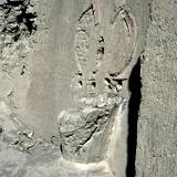 KS93 10,13