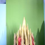 UN15 1007,218