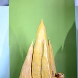 UN15 1007,7
