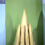 UN15 1007,171
