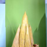 UN15 1007,6