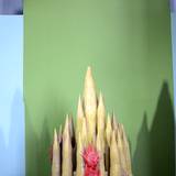 UN15 1007,216