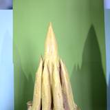 UN15 1007,174