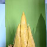UN15 1007,11