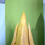UN15 1007,9