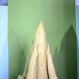 UN15 1007,71