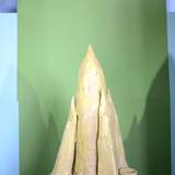 UN15 1007,67
