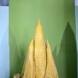 UN15 1007,10
