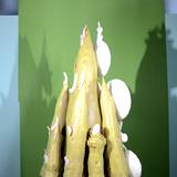 UN15 1007,245