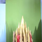 UN15 1007,219