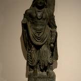 UN15 2005,1195